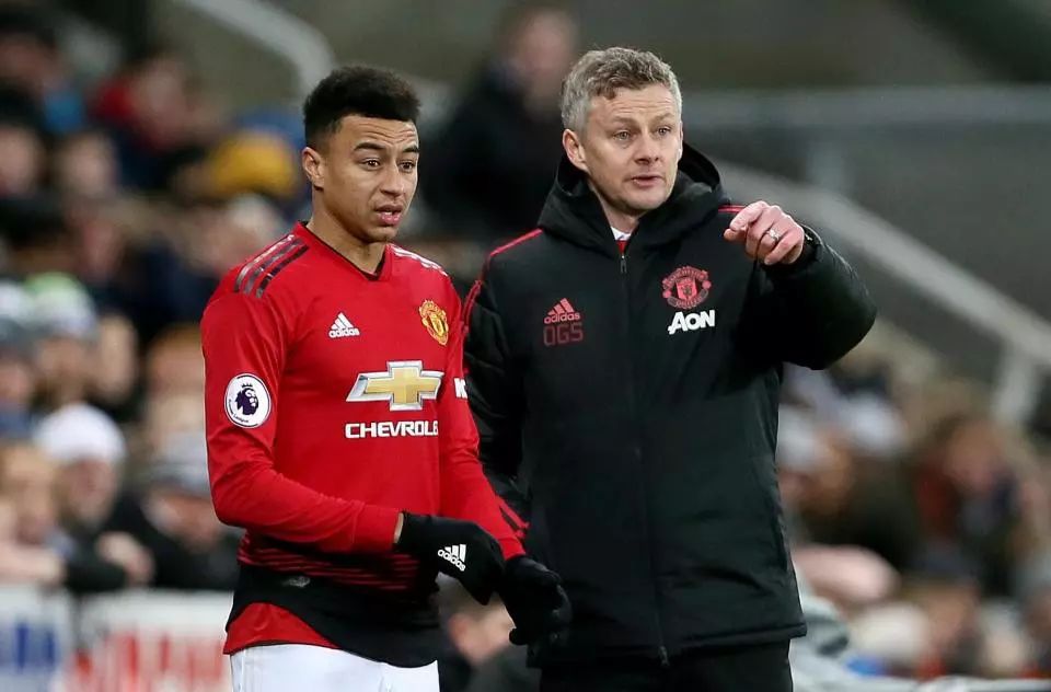 种情感与理 种情感与理